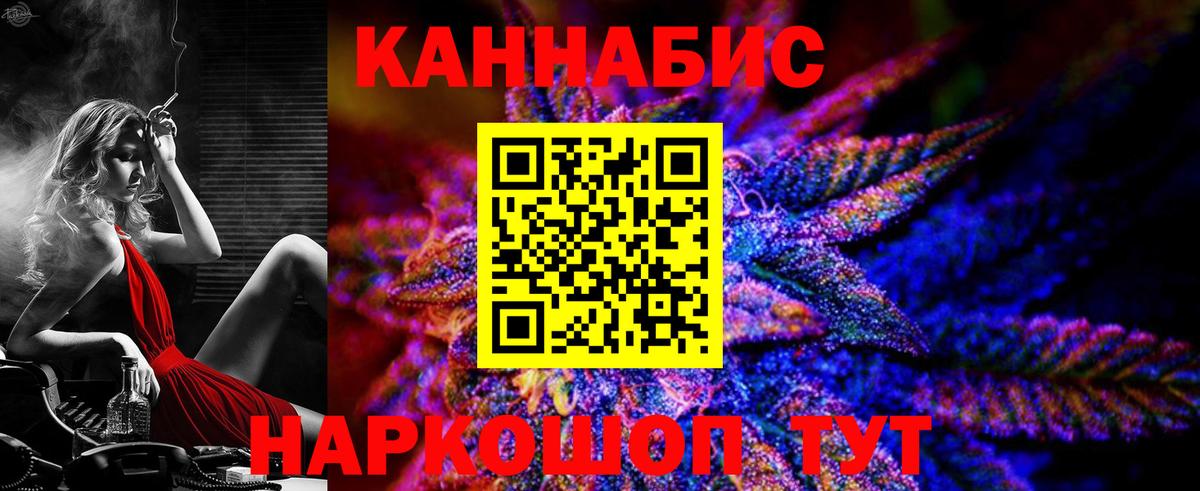 Каннабис планчик Кохма
